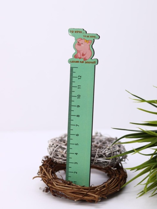 Линейка ECO из дерева «То хочу…то не хочу...» 