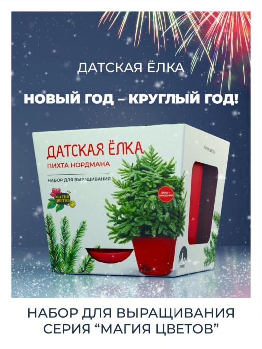 Набор д/выращивания растений "Магия цветов", "Датская елка" 