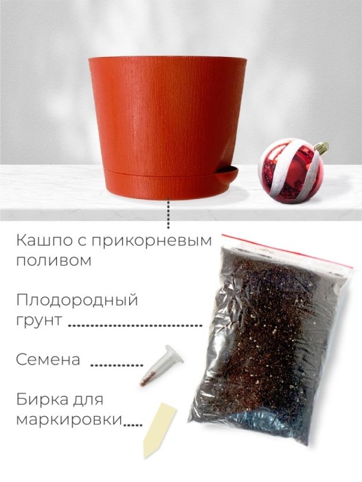 Набор д/выращивания растений "Магия цветов", "Датская елка" 