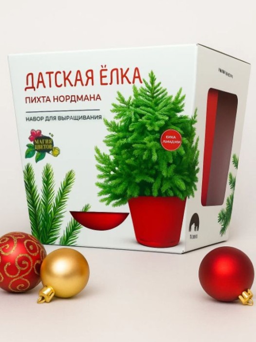 Набор д/выращивания растений "Магия цветов", "Датская елка" 