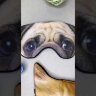 Маска для сна &quot;DOG&quot; 
