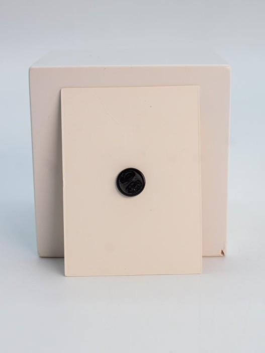 Значок металлический iLikeGift &quot;Capybara laptop&quot; 