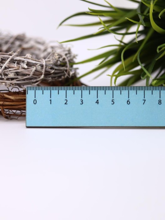 Линейка ECO из дерева «Хрю» 