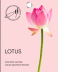 Саше ароматическое &quot;Spring Lotus&quot;, 10 гр 