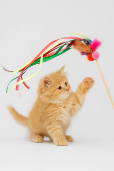 Махалка для кошек "Карнавал", 50 см