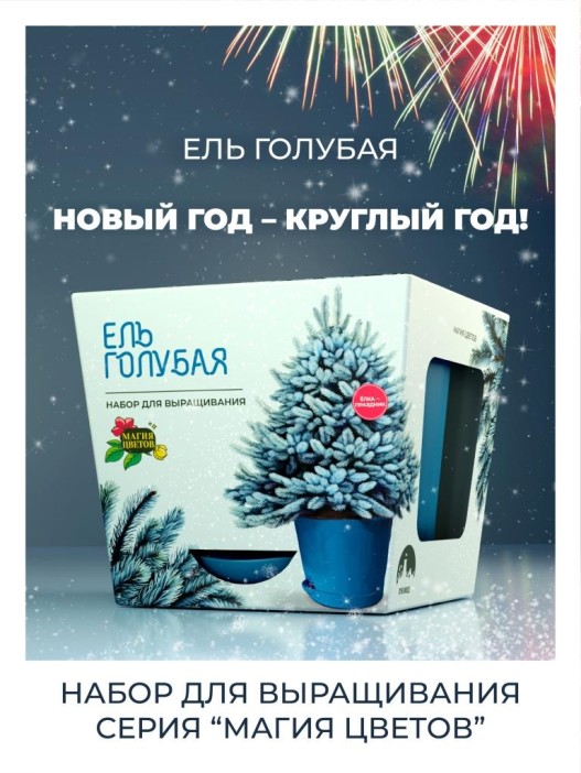Набор д/выращивания растений &quot;Магия цветов&quot;, &quot;Ель голубая&quot; 