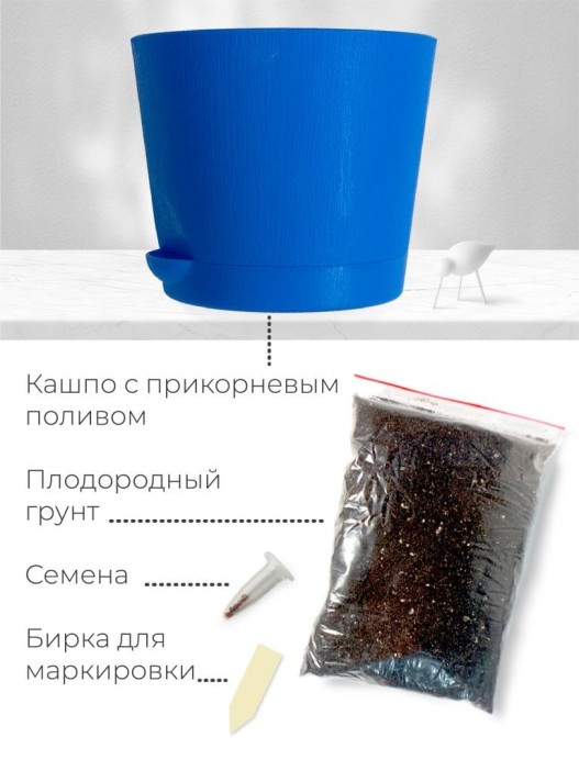 Набор д/выращивания растений &quot;Магия цветов&quot;, &quot;Ель голубая&quot; 