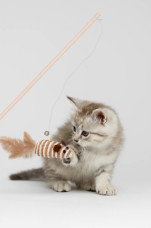 Игрушка-удочка для животных &quot;Хитрый мышонок&quot; (95 см)