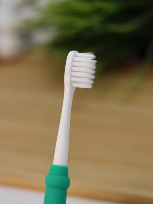 Зубная щётка для взрослых iLikeGift &quot;Tiny Rawr&quot;, green (10 см) 