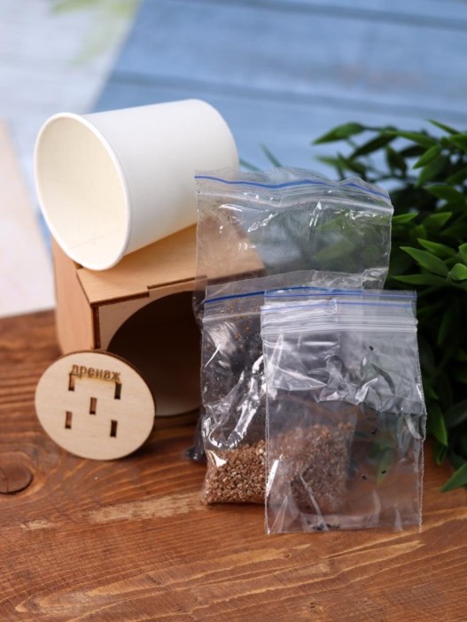 Набор для выращивания &quot;Экокуб Magicme&quot; - Шалфей 