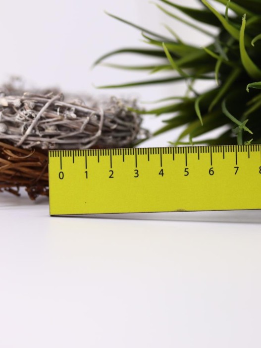 Линейка ECO из дерева «Sleeping pig» 