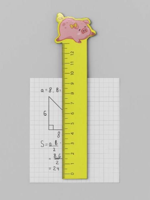 Линейка ECO из дерева «Sleeping pig» 