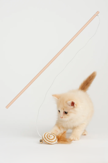 Игрушка-удочка для животных &quot;Бубен&quot; (97 см).