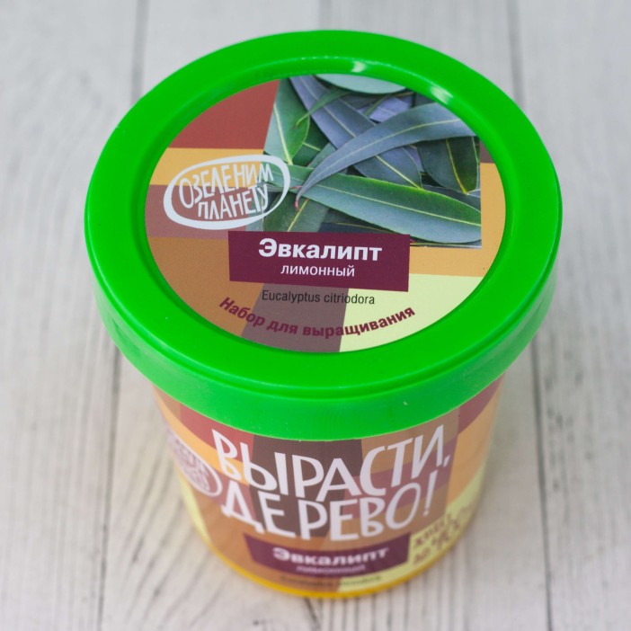 Набор для выращивания &quot;Эвкалипт лимонный&quot; 