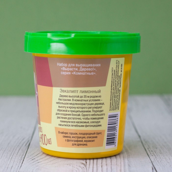 Набор для выращивания &quot;Эвкалипт лимонный&quot; 
