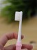 Зубная щётка для взрослых iLikeGift &quot;Tiny Rawr&quot;, pink (10 см) 