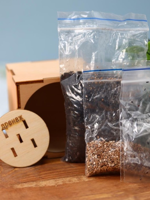 Набор для выращивания &quot;Экокуб Magicme&quot; - Акация 