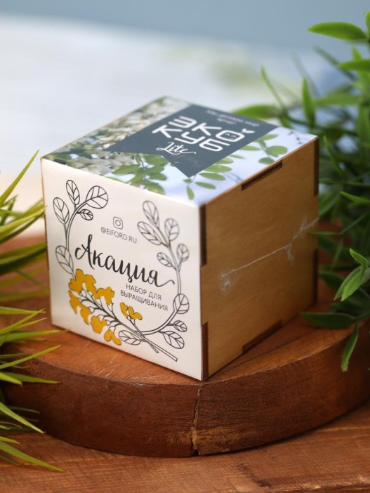 Набор для выращивания &quot;Экокуб Magicme&quot; - Акация 