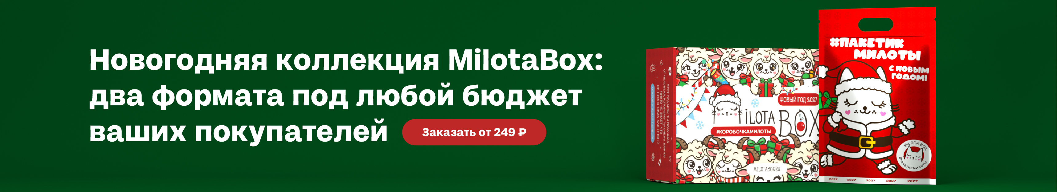 Баннер над товарами